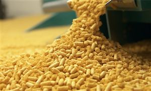 2024中國飼料原料行業(yè)市場機(jī)遇及面臨的挑戰(zhàn)分析