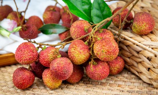 荔枝行業(yè)報告 荔枝產業(yè)發(fā)展分析