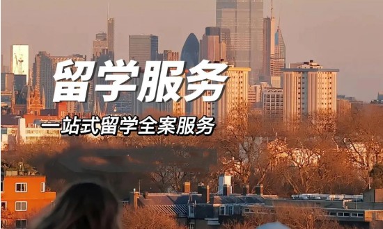 2024年留學(xué)服務(wù)行業(yè)的產(chǎn)業(yè)鏈供需布局及市場發(fā)展現(xiàn)狀