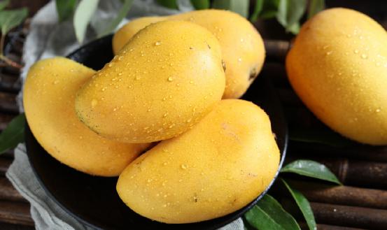 中國(guó)芒果種植情況及市場(chǎng)深度調(diào)研