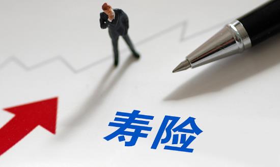 人壽保險龍頭企業(yè)市場現(xiàn)狀與行業(yè)發(fā)展前景研究