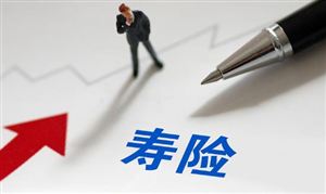 人壽保險(xiǎn)龍頭企業(yè)市場現(xiàn)狀與行業(yè)發(fā)展前景研究