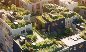 中國屋頂綠化行業(yè)市場環(huán)境及未來發(fā)展前景2024