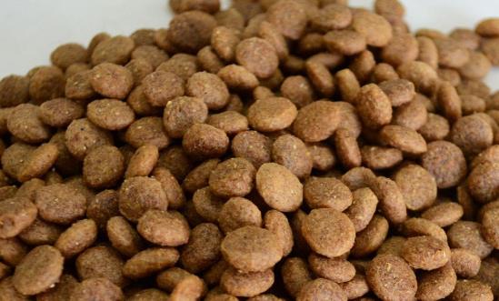 寵物飼料行業(yè)市場機(jī)會(huì)分析：預(yù)計(jì)2026年城鎮(zhèn)寵物(犬貓)消費(fèi)市場規(guī)模達(dá)3613億元