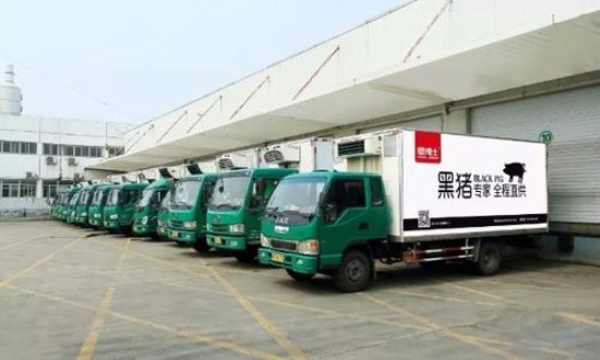 2024年中國(guó)生豬冷鏈物流行業(yè)的產(chǎn)業(yè)鏈分析及投資前景