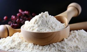 2024中國乳粉行業(yè)發(fā)展趨勢(shì)及投資前景預(yù)測(cè)
