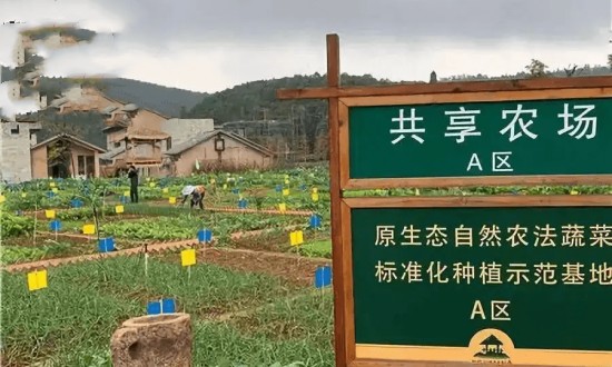 2024年共享農場行業(yè)產業(yè)鏈的上下游結構及發(fā)展趨勢