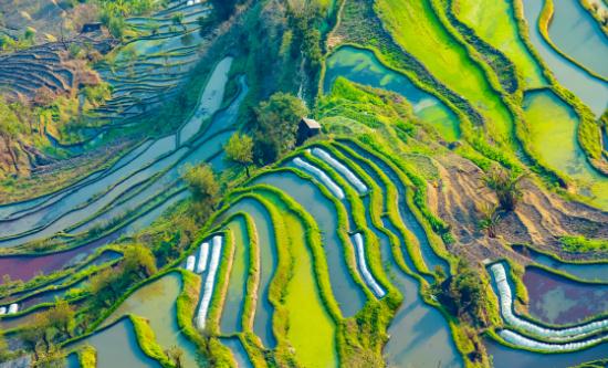 休閑農(nóng)業(yè)行業(yè)市場深度調(diào)研及未來發(fā)展前景分析2024