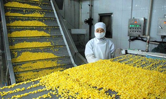 2024年中國糧食加工行業(yè)的市場發(fā)展現(xiàn)狀?及投資前景分析