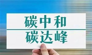 2024年碳中和戰(zhàn)略深度調(diào)研及發(fā)展預(yù)測報(bào)告 在2030年前實(shí)現(xiàn)碳達(dá)峰