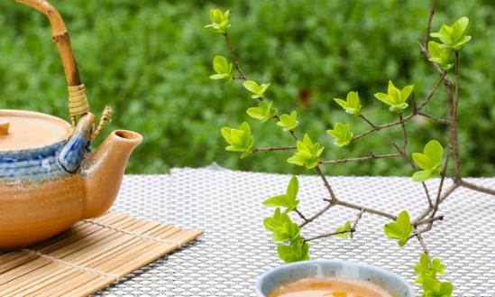 2024年中國茶多酚行業(yè)現(xiàn)狀、市場規(guī)模及未來發(fā)展趨勢分析
