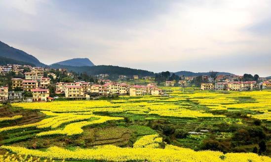 2023年中國鄉(xiāng)村旅游行業(yè)發(fā)展現(xiàn)狀、競爭格局及未來發(fā)展趨勢分析