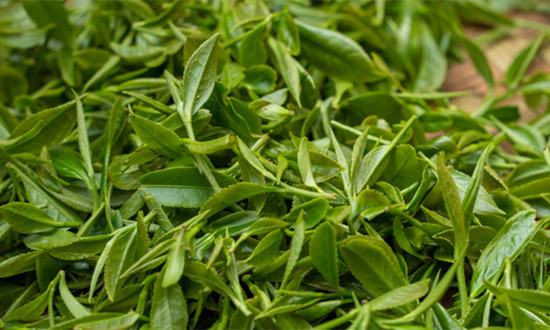 我國現(xiàn)存茶葉相關企業(yè)163.8萬余家 2024年茶葉行業(yè)市場深度分析