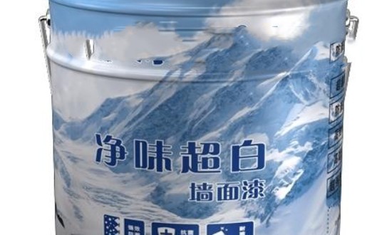 2024年中國(guó)超白涂料行業(yè)的產(chǎn)業(yè)鏈上下游結(jié)構(gòu)及發(fā)展前景分析
