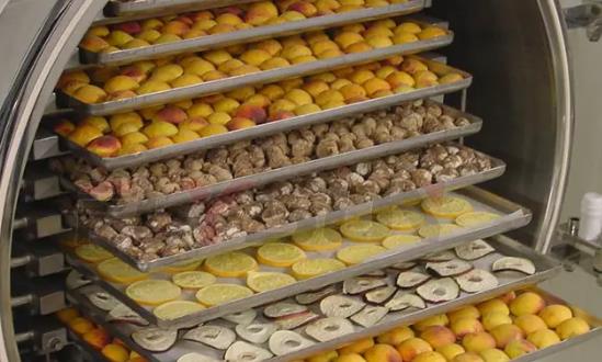 食品凍干機(jī)行業(yè)投資分析：預(yù)計(jì)到2029年將達(dá)到1023.46億元