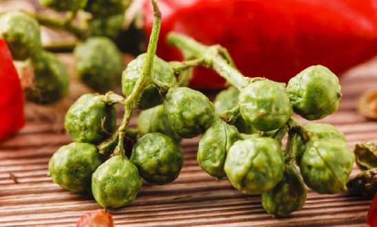 青花椒行業(yè)供需分析：內(nèi)需飽和 2023年江津青花椒出口總額達1000萬元