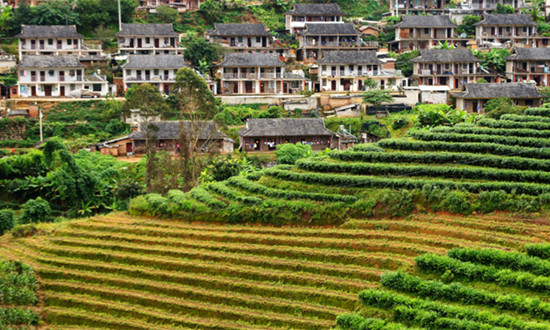 健康小鎮(zhèn)行業(yè)市場(chǎng)環(huán)境及發(fā)展現(xiàn)狀、未來(lái)前景展望