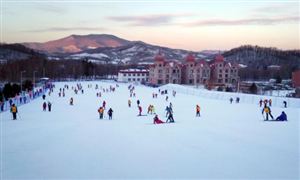 2024年滑雪板市場需求、市場規(guī)模及競爭格局分析