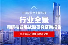 2025年機(jī)器人流程自動(dòng)化(RPA)行業(yè)深度數(shù)據(jù)分析報(bào)告  (附多維度圖表與場景案例)