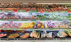 2025年“一帶一路”食品加工行業(yè)競爭格局預(yù)測與投資戰(zhàn)略分析，食品產(chǎn)業(yè)新機(jī)遇