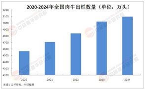 2025年中國(guó)牛肉市場(chǎng)需求分析及發(fā)展趨勢(shì)與前景展望