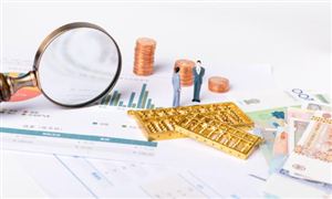 2025融碳金融行業(yè)市場規(guī)模及供需格局、未來前景分析