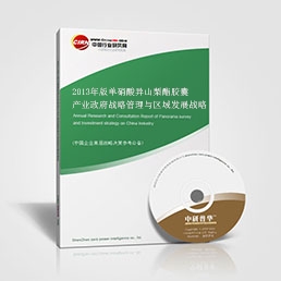 2013年版單硝酸異山梨酯膠囊產(chǎn)業(yè)政府戰(zhàn)略管理與區(qū)域發(fā)展戰(zhàn)略研究咨詢報(bào)告